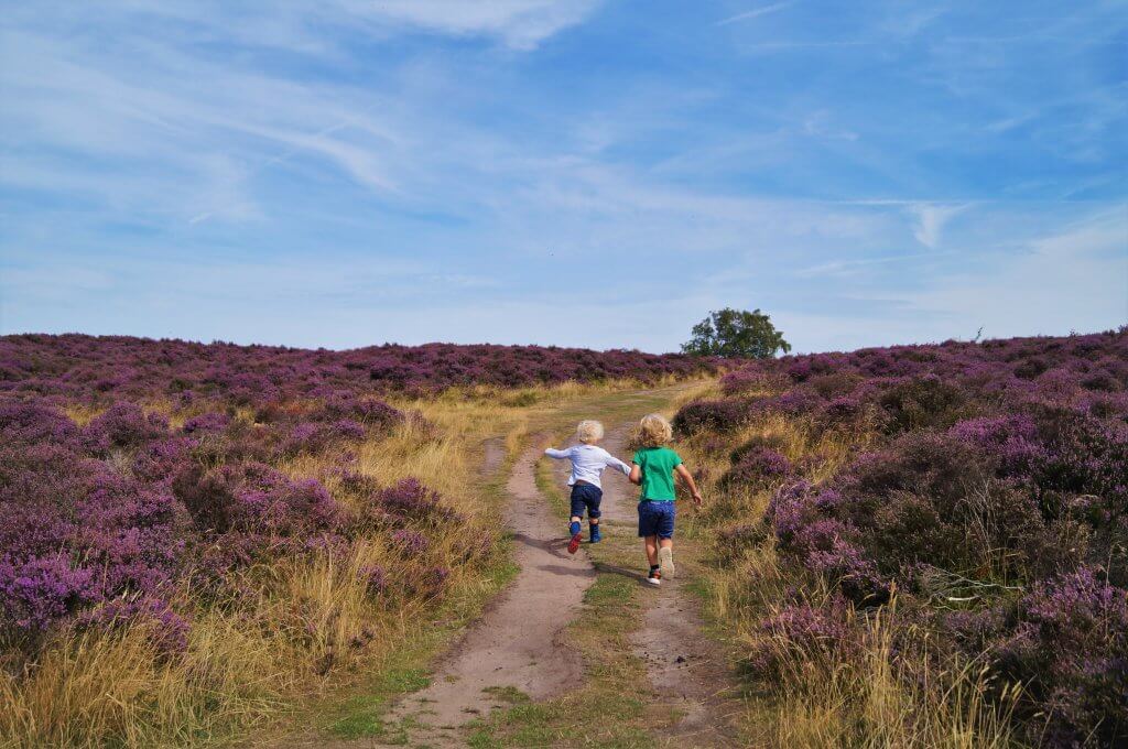 Short walks in the Peak District for young kids