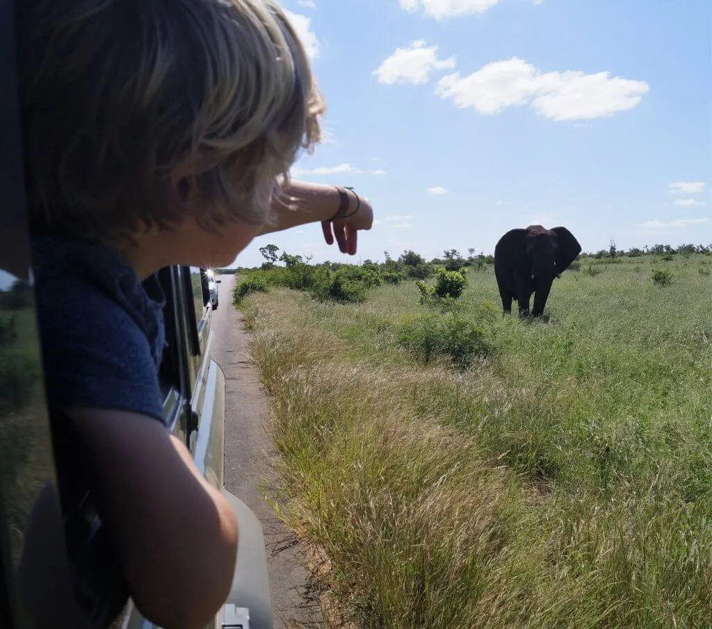 Southern Africa overland itinerary with kids