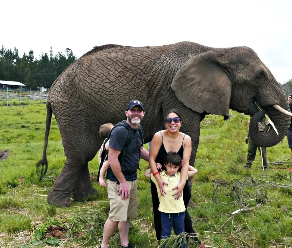 things to do in South Africa with kids