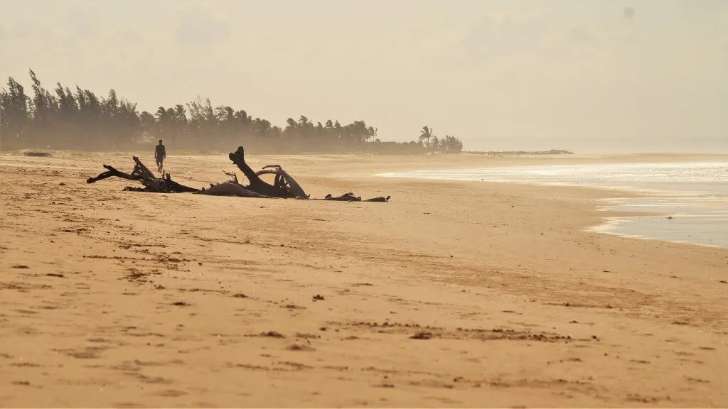 Mozambique with kids