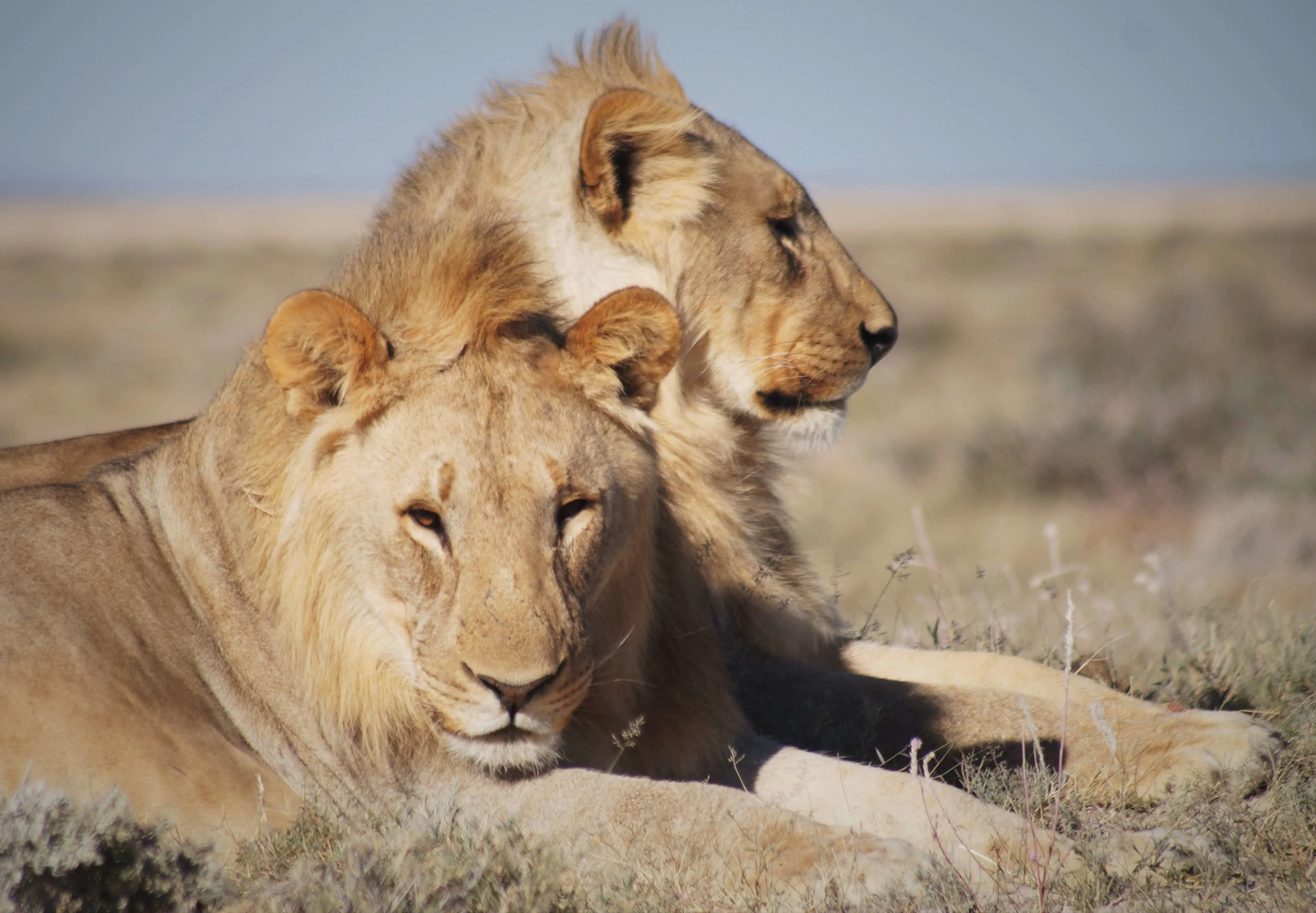 Namibia itinerary with kids