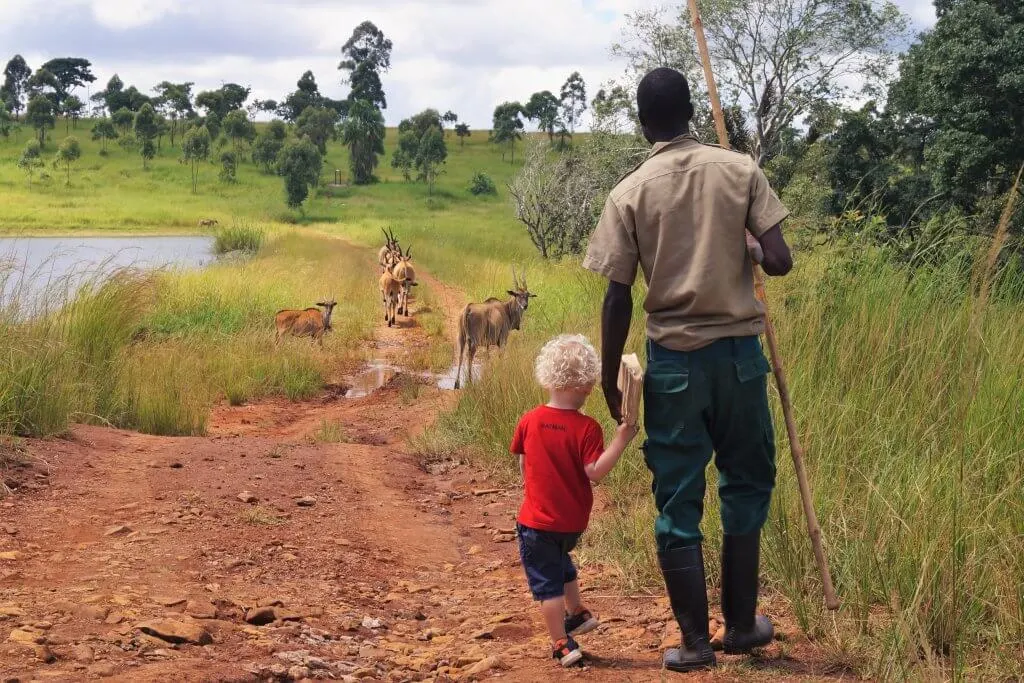 Safari with kids