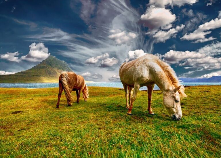 save money on a family trip to Iceland