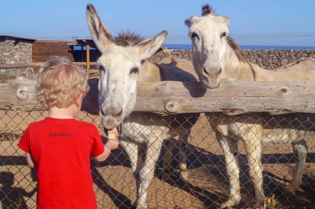 glamping in Lanzarote