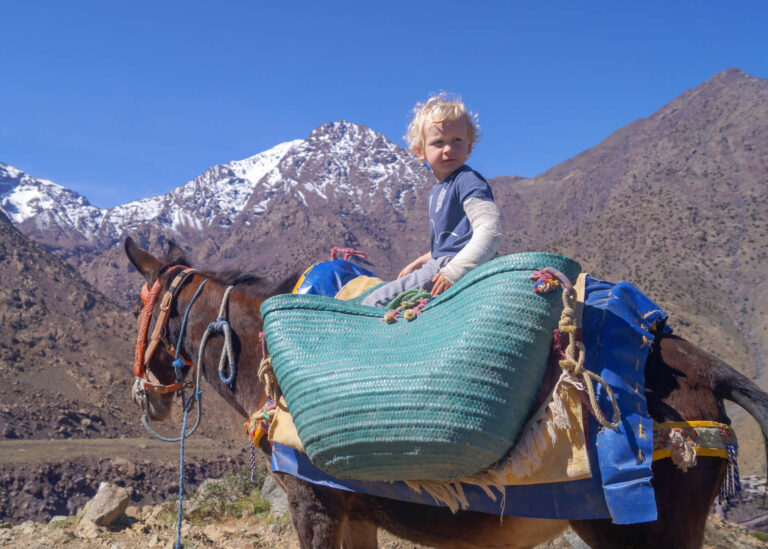 Riding a donkey in the Atlas Mountains