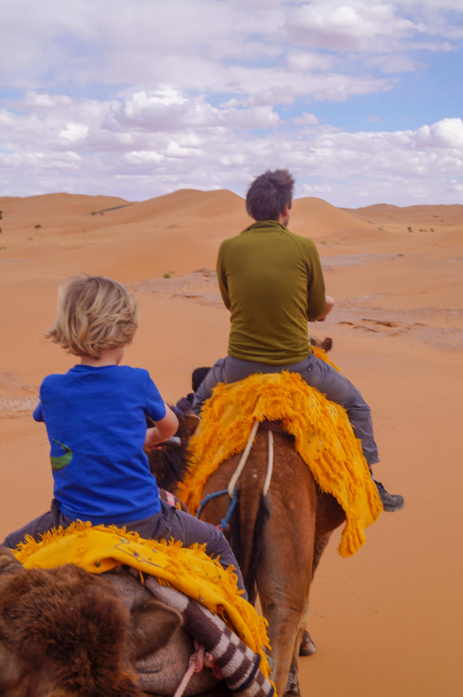 Sahara camel riding