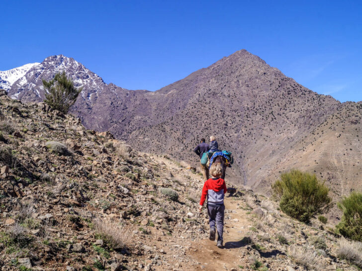 1 day Atlas Mountain trek with kids, a mule, and views of Toubkal