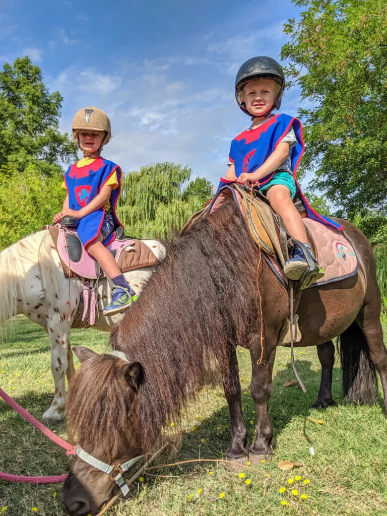 two boys on ponies