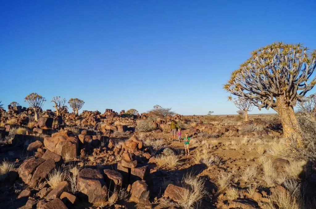 boulders and quiver trees at Garas Park Rest Camp