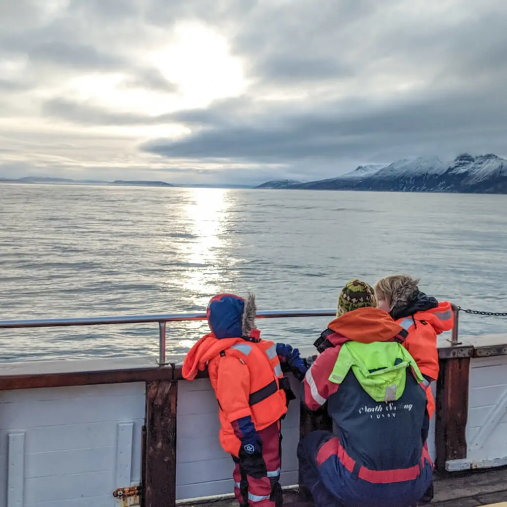 looking for whales on our Husavik whale watching tour