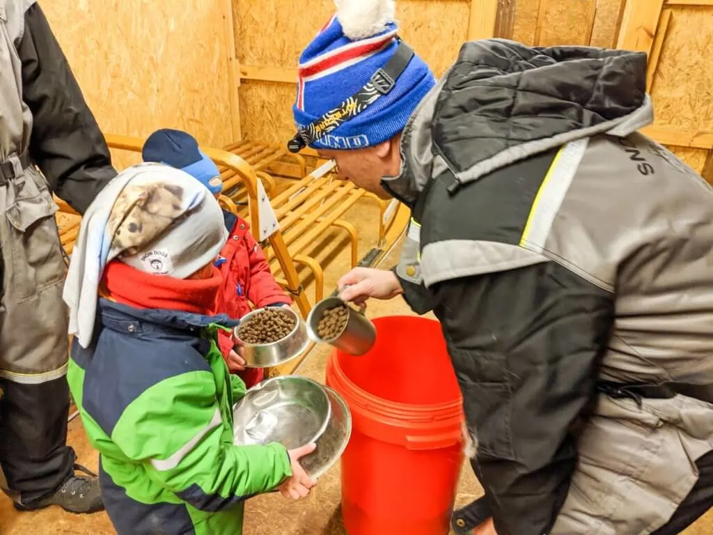 Snow Dogs - feeding the huskies