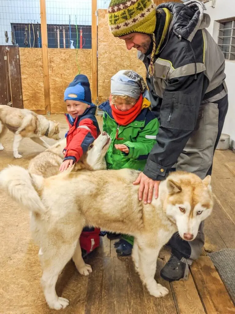 patting the huskies at Snow Dogs