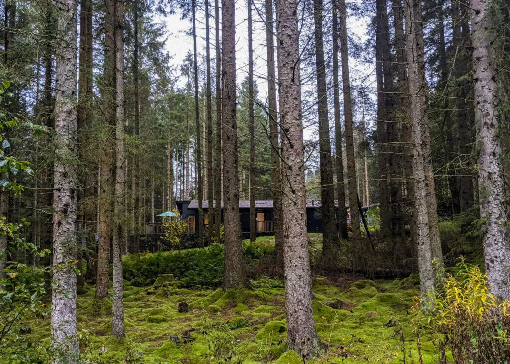 lodges at Kielder