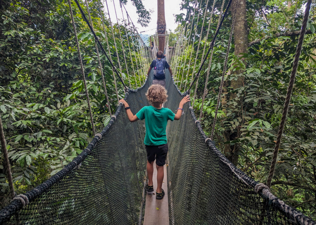 Poring canopy walk
