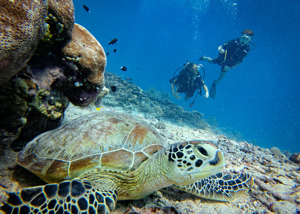 kids diving around Gili Air