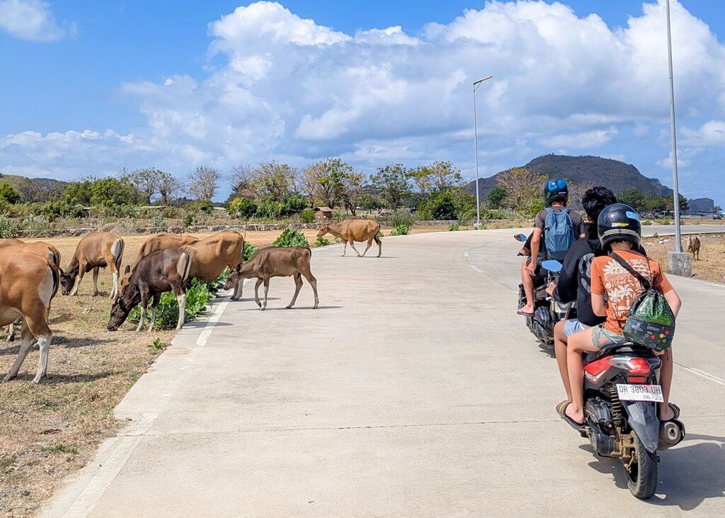riding on the back of scooters in Indonesia